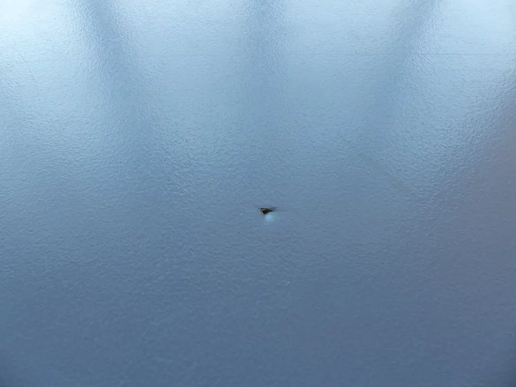 Petit trou dans la surface d'un sol sportif en résine, réparé avant la rénovation